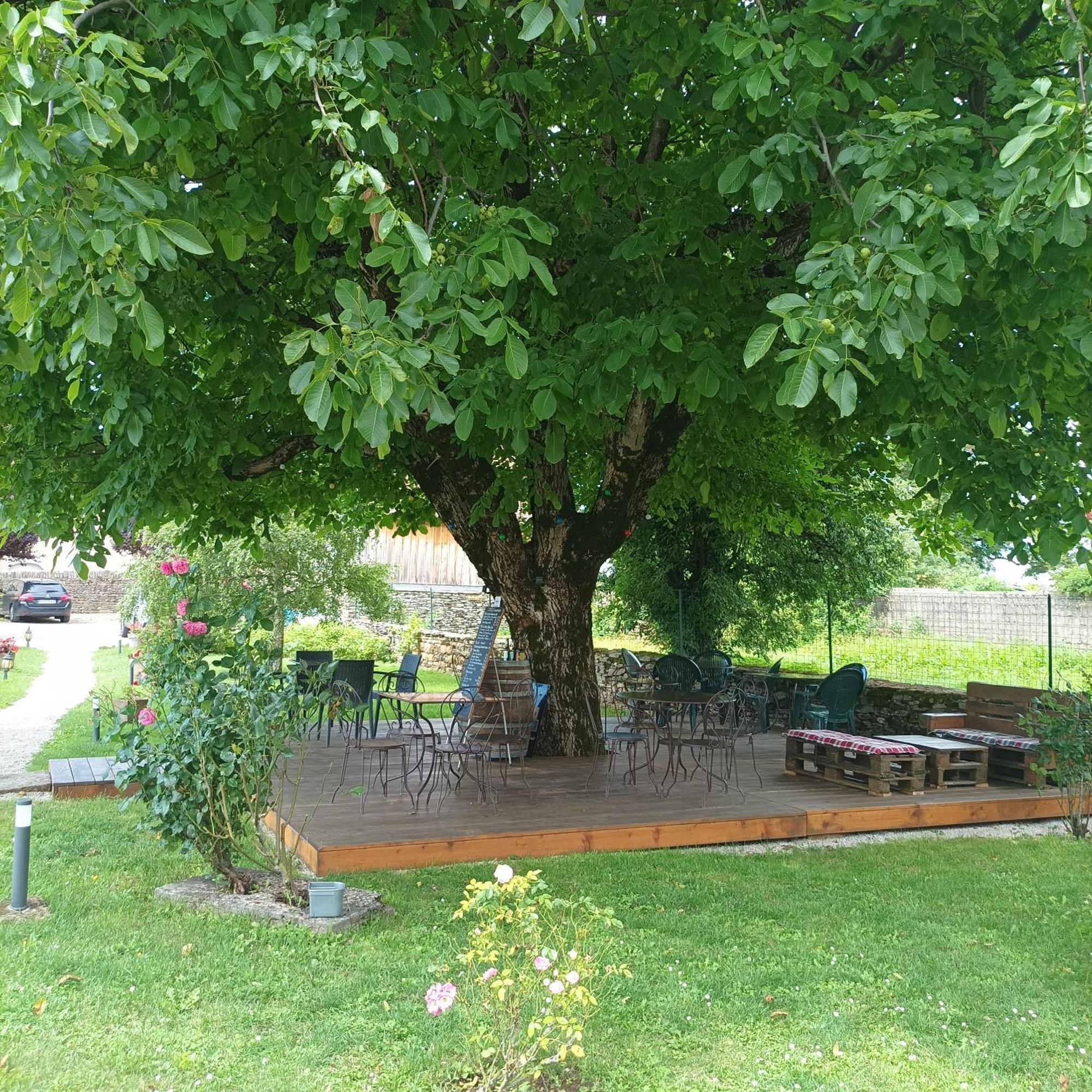 Maison D'Eusebia ชาโต-ชาลง ภายนอก รูปภาพ